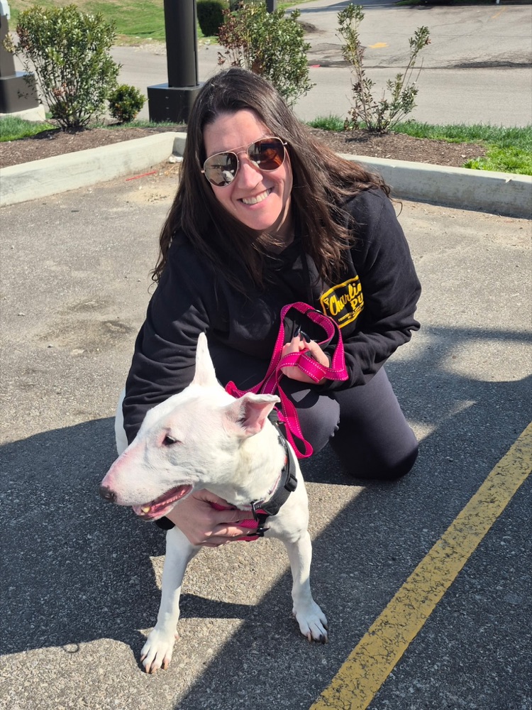 Cynthia Holcomb, Adoption & Foster Coordinator | Board Secretary