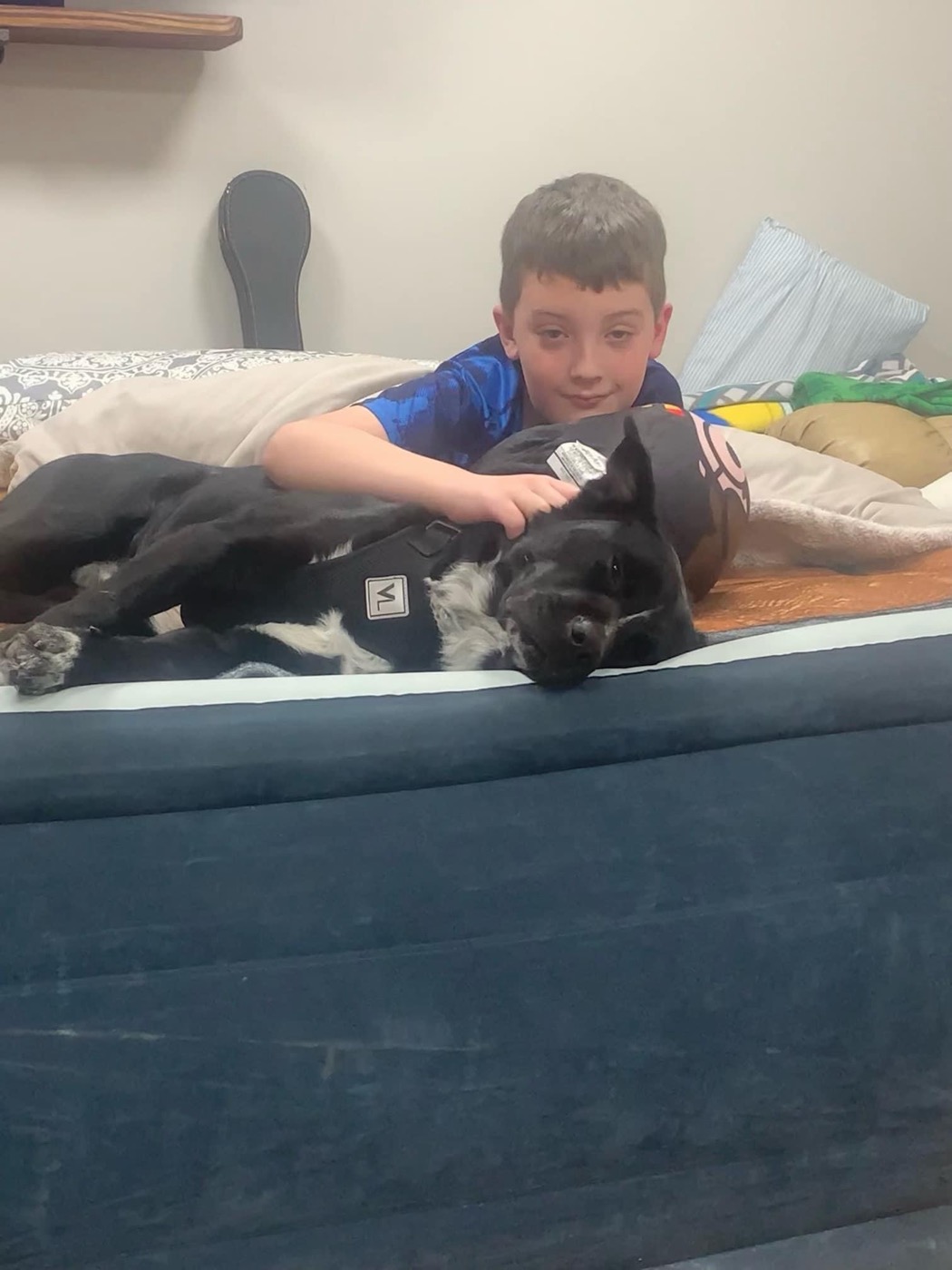 A newly adopted pet with their family