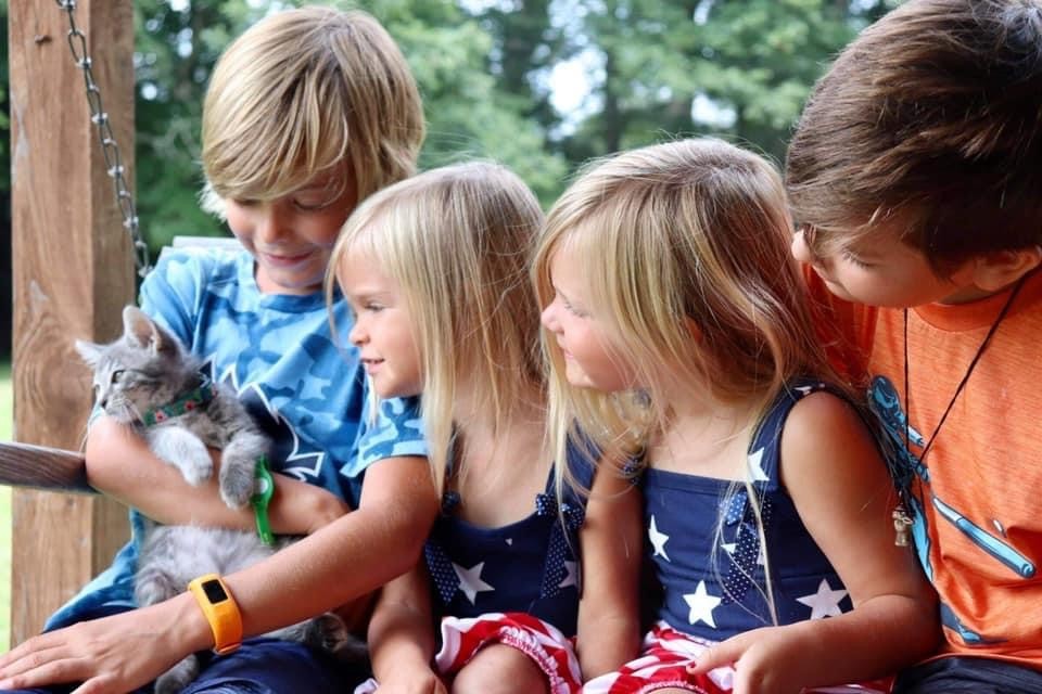 A newly adopted pet with their family