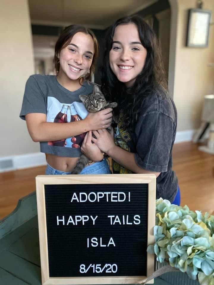 A newly adopted pet with their family
