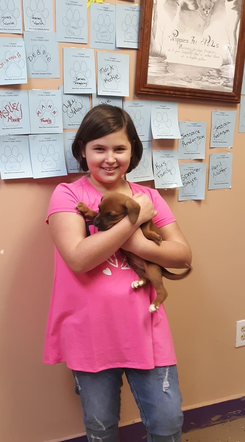 A newly adopted pet with their family