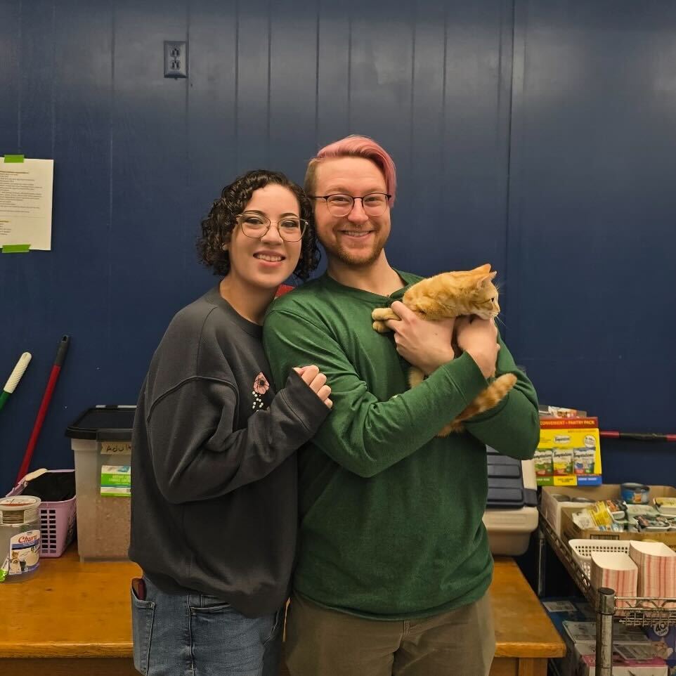 A newly adopted pet with their family