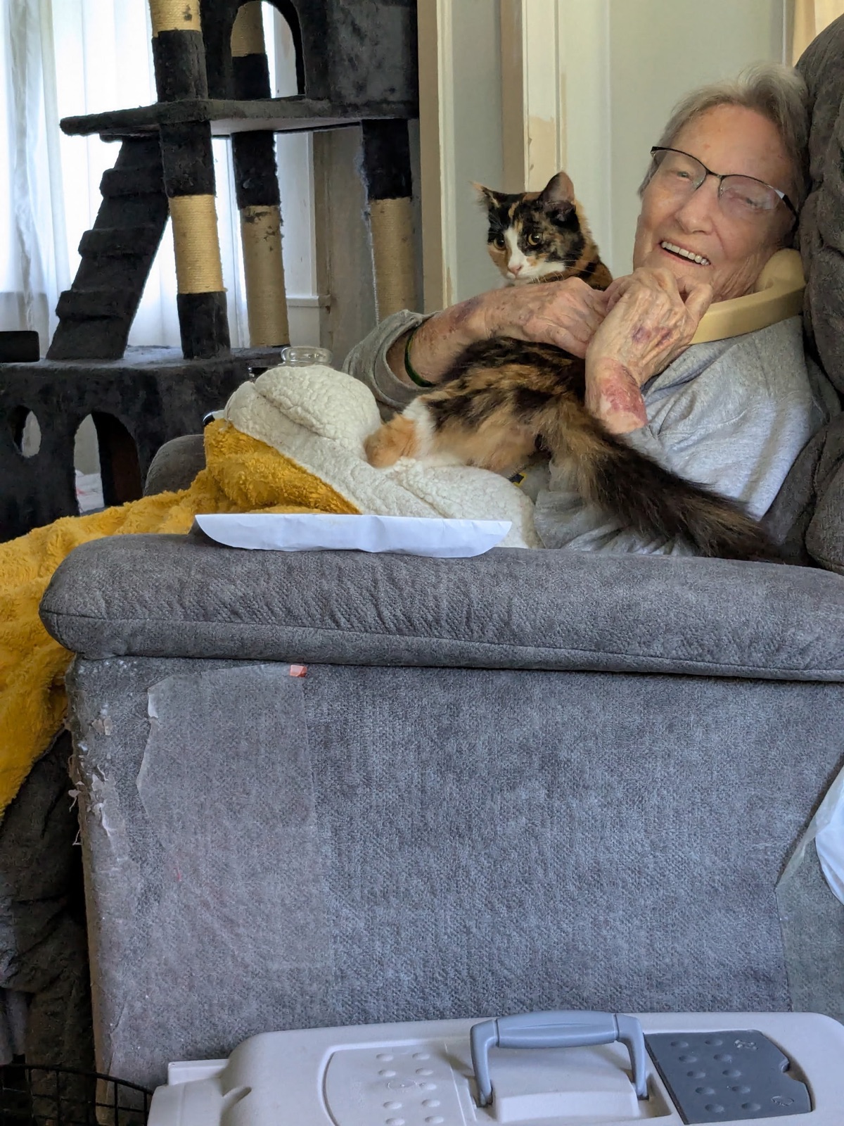 A newly adopted pet with their family