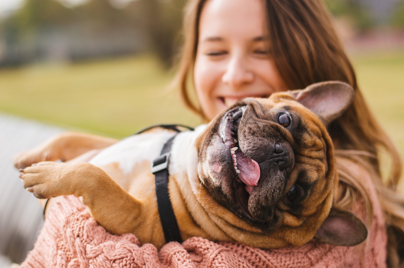 A volunteer holding a happy French bulldog